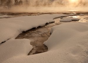 20090202_yellowstone_0288.jpg