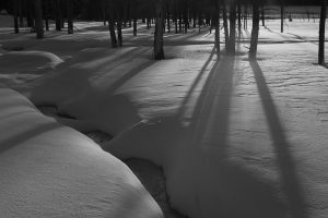 20090204_yellowstone_2138.jpg