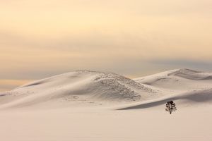 20090205_yellowstone_2621.jpg